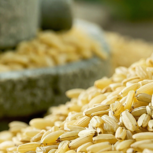 rice